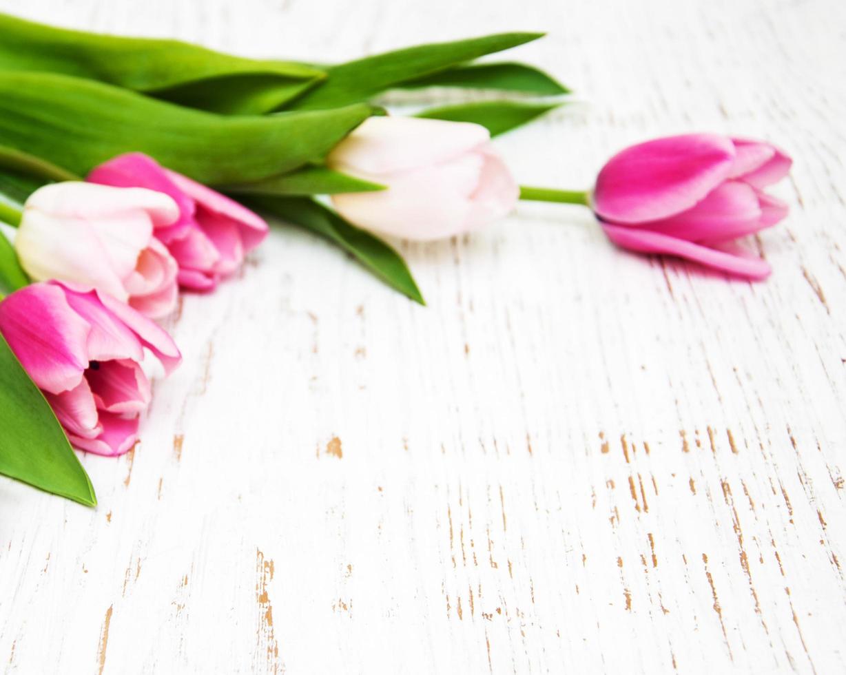 Bouquet of pink tulips on an old wooden background photo