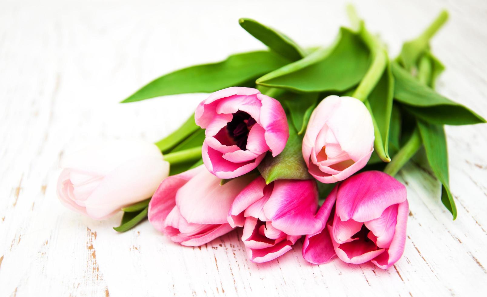 Ramo de tulipanes rosas sobre un fondo de madera vieja foto