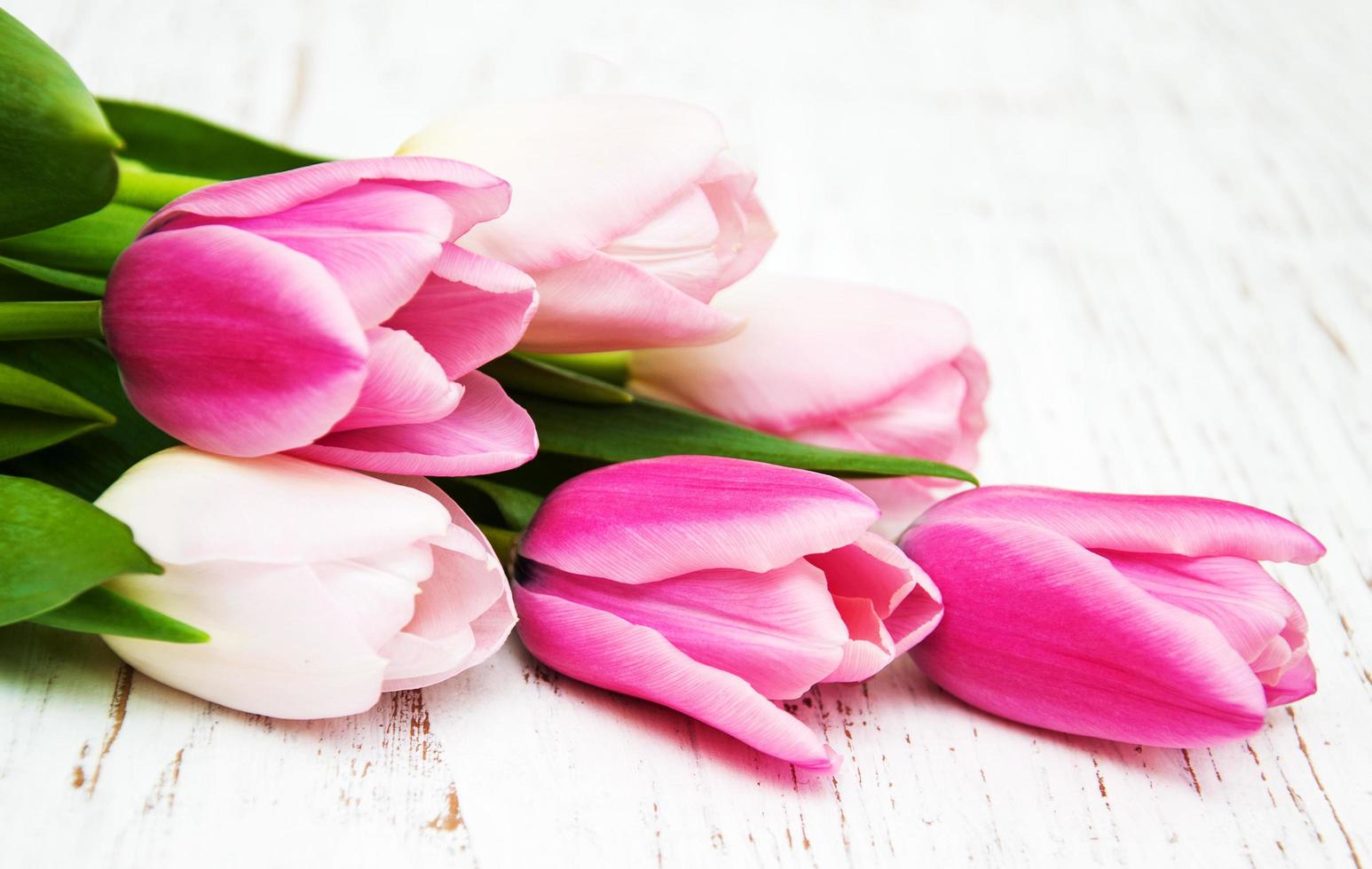 Ramo de tulipanes rosas sobre un fondo de madera vieja foto