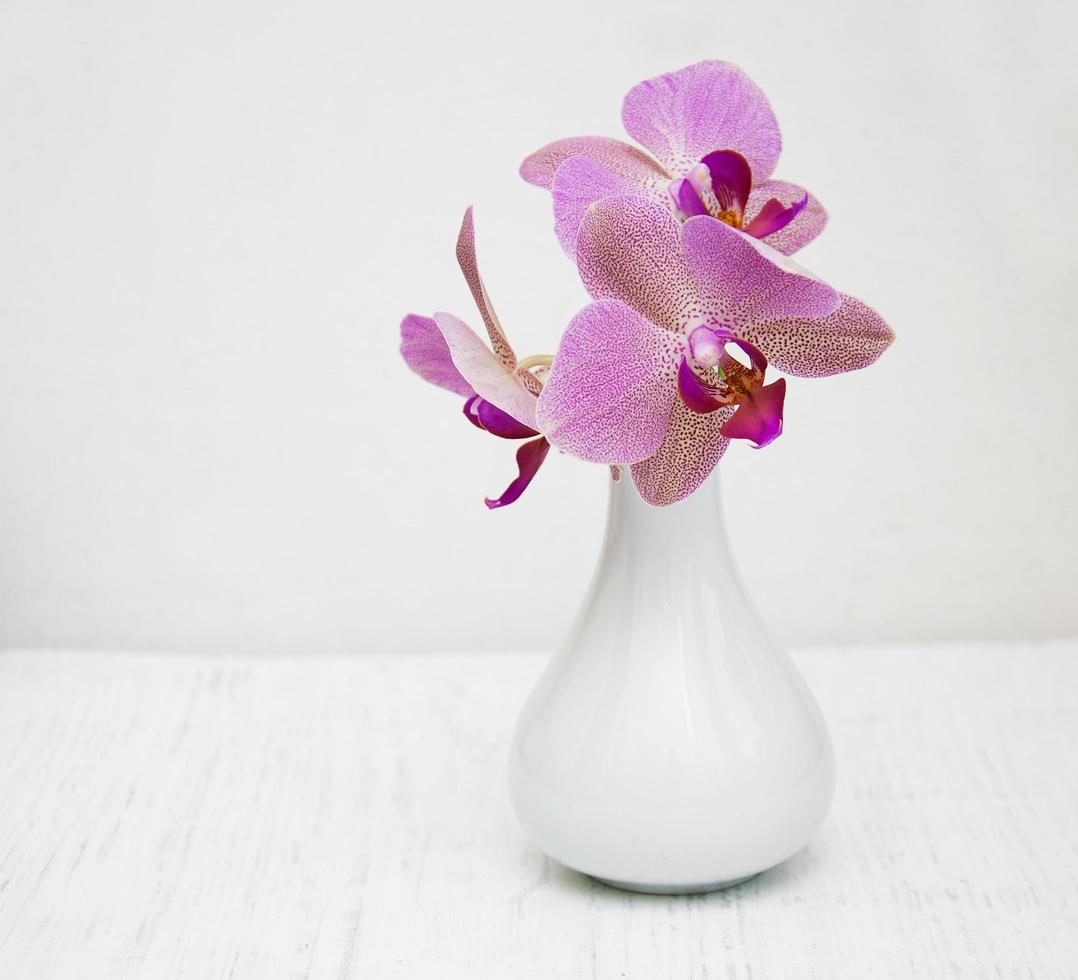 Pink orchids in a vase photo