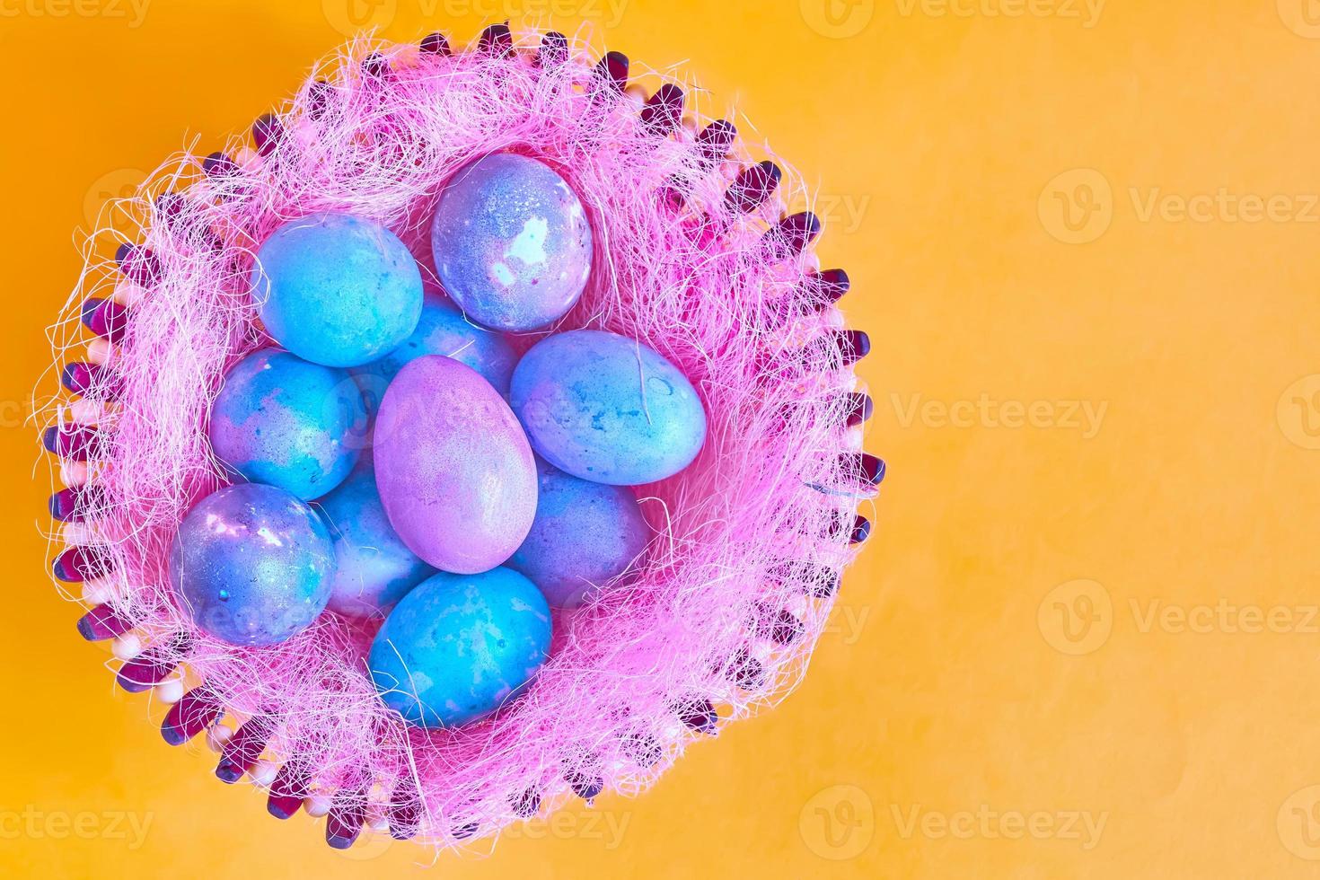 Easter eggs in nest photo