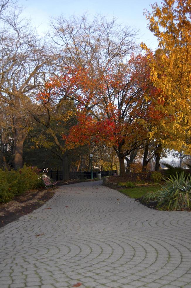 colores de otoño en un parque foto