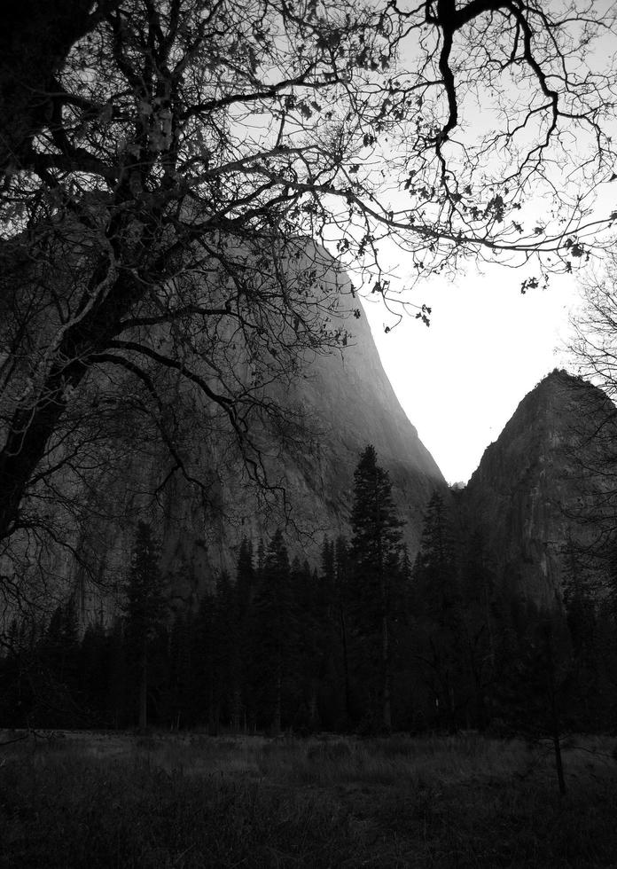 Yosemite National Park in black and white photo