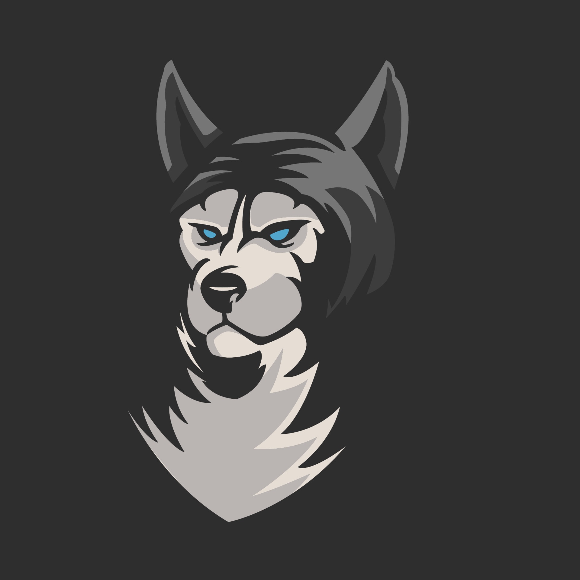 Cool wolves face mascot e-sport logo design isolated on dark grey background.  Angry wolf monster mascot vector illustration logo. Professional wolf logo  for a sport team. Modern template design 2215678 Vector Art