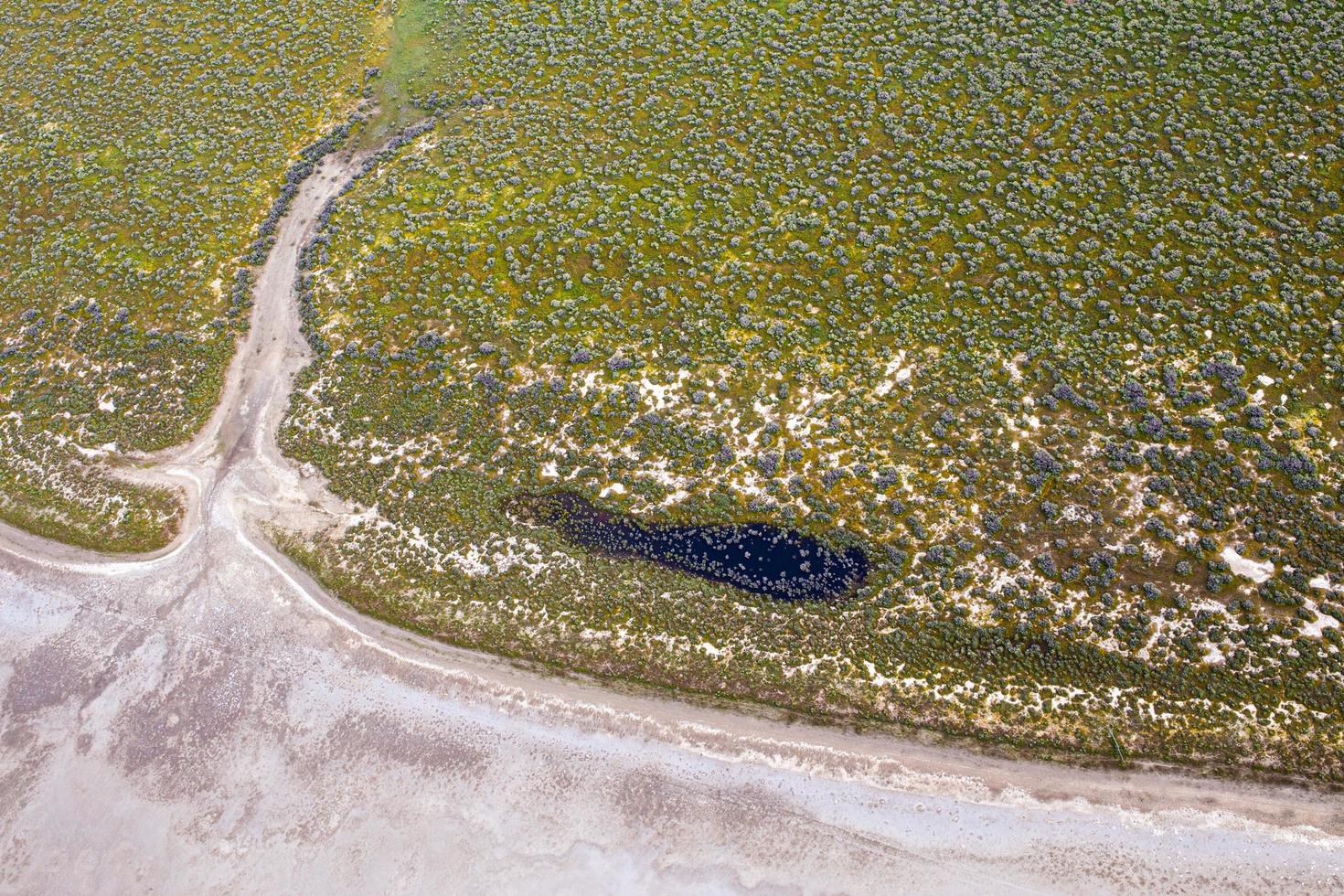 vista aérea de un desierto en california foto