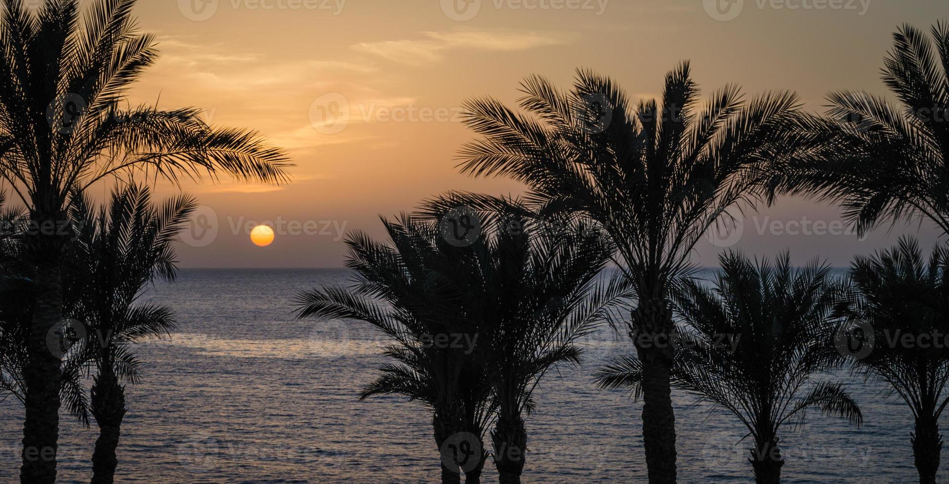 playa tropical al atardecer foto