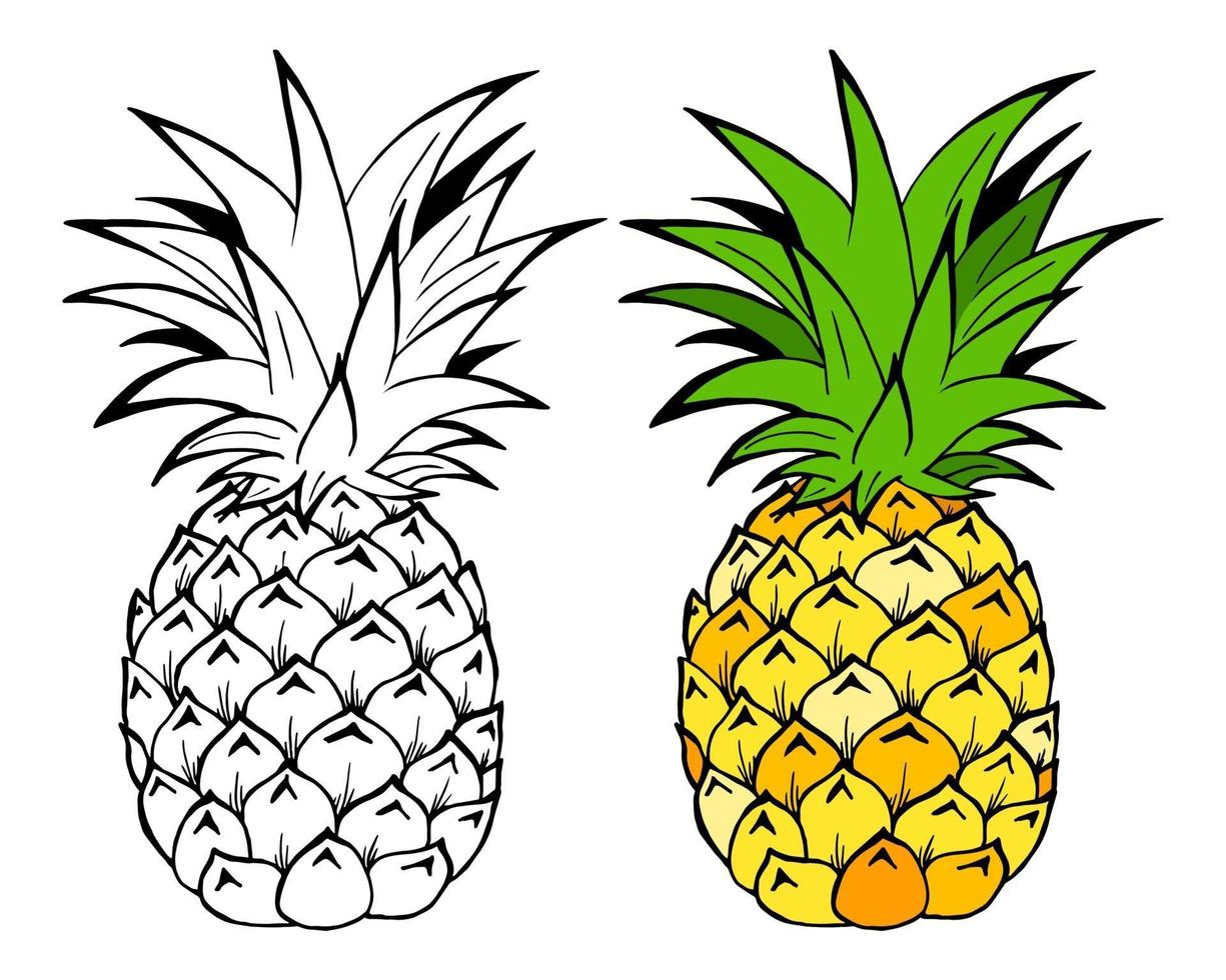 Ilustración de vector de frutas de piña. objeto aislado sobre fondo blanco. estilo doodle. diseño de tela.