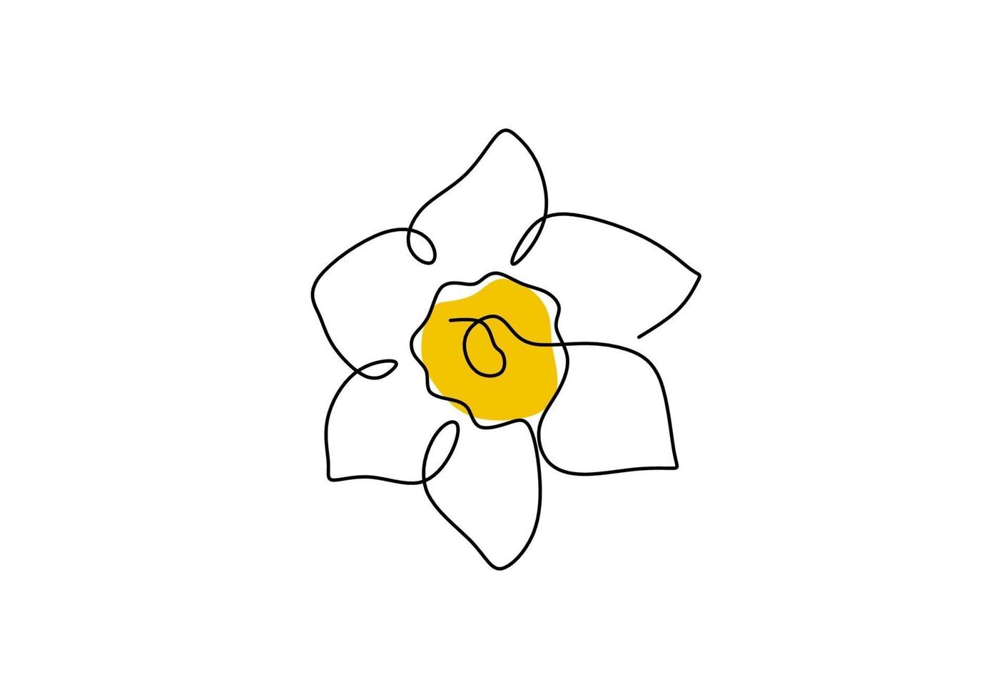 Daffodil flower in yellow color continuous line drawing. Blossoming Narcissus in spring isolated on white background. Garden flower with minimalist design in hand drawn style. Vector illustration