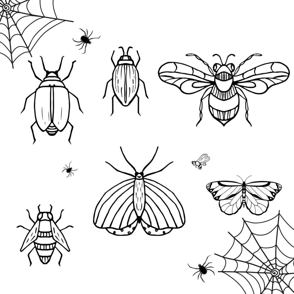 Insects sketch. Butterfly, bee, spider, bug. Hand drawn vector collection.