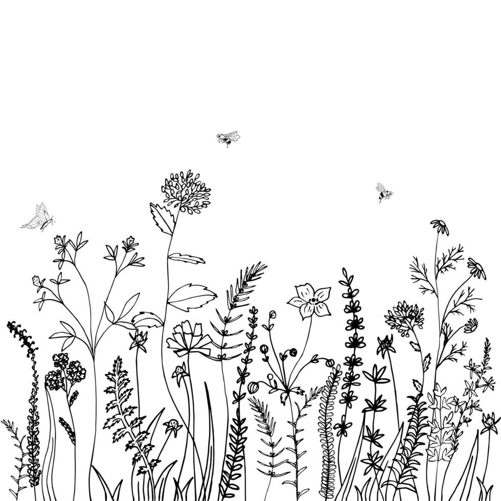 Black silhouette of grass, spikes, herbs and insect isolated on white background. Hand drawn sketch flowers. Can be used for printing on summer textiles and phone case. vector