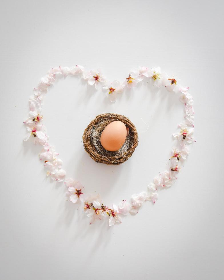 Single egg in nest surrounded by daisies in a heart shape on white background photo