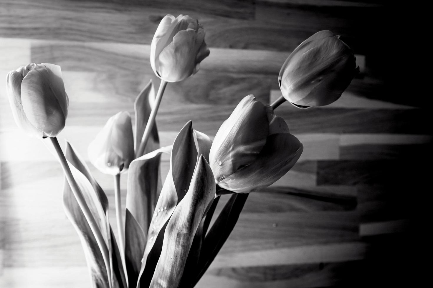 Fondo de flor de tulp blanco y negro con fondo de textura de madera foto