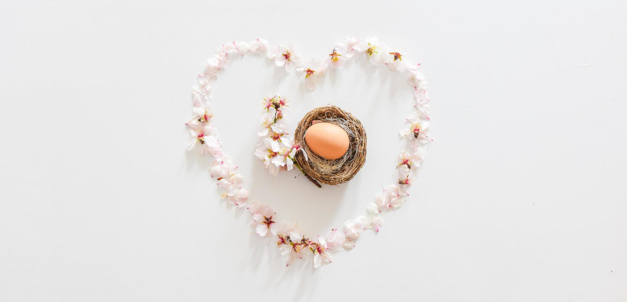 Las flores de la margarita de primavera forman un corazón con un huevo de pascua y una flor de margarita en el medio foto