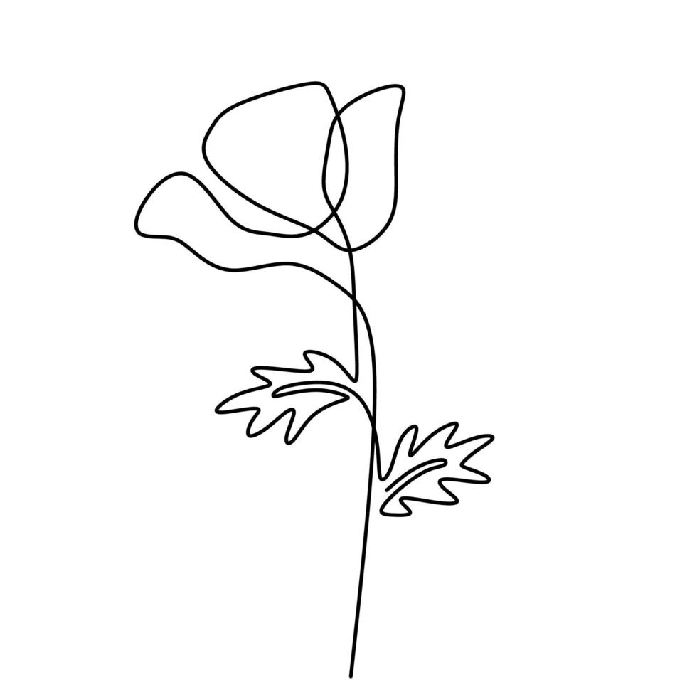 Poppy flower continuous line art hand drawn minimalism style isolated on white background. Vector abstract plant in spring illustration. Nature floral with leaf for logos, invitations, tattoo
