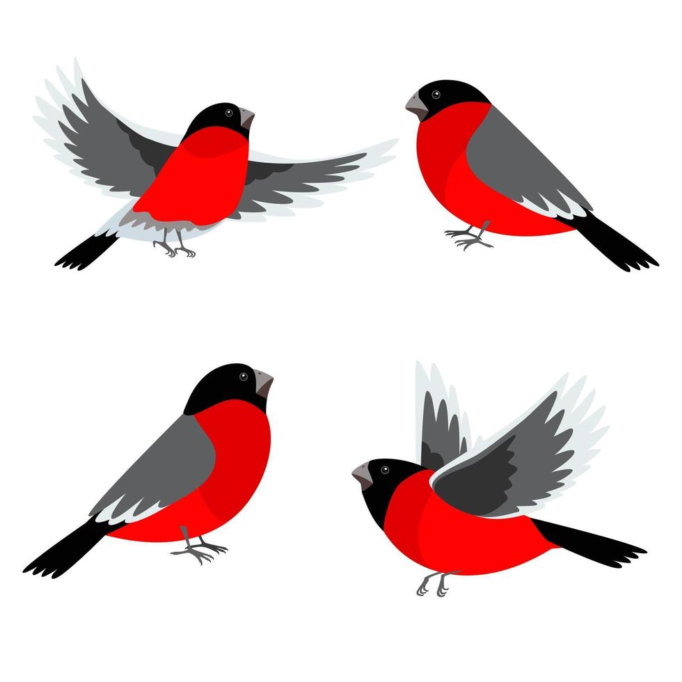 Set of bullfinch birds. Vector illustration for Christmas and New Year's greeting cards, invitations, media banners, printed material design.