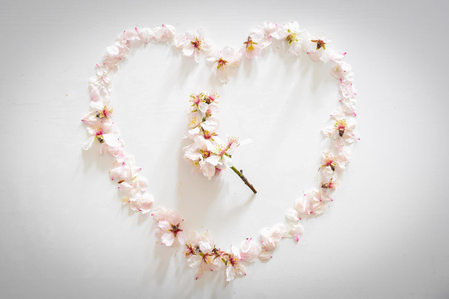flores de margarita de primavera formando un corazón con huevo de pascua y flor de margarita foto