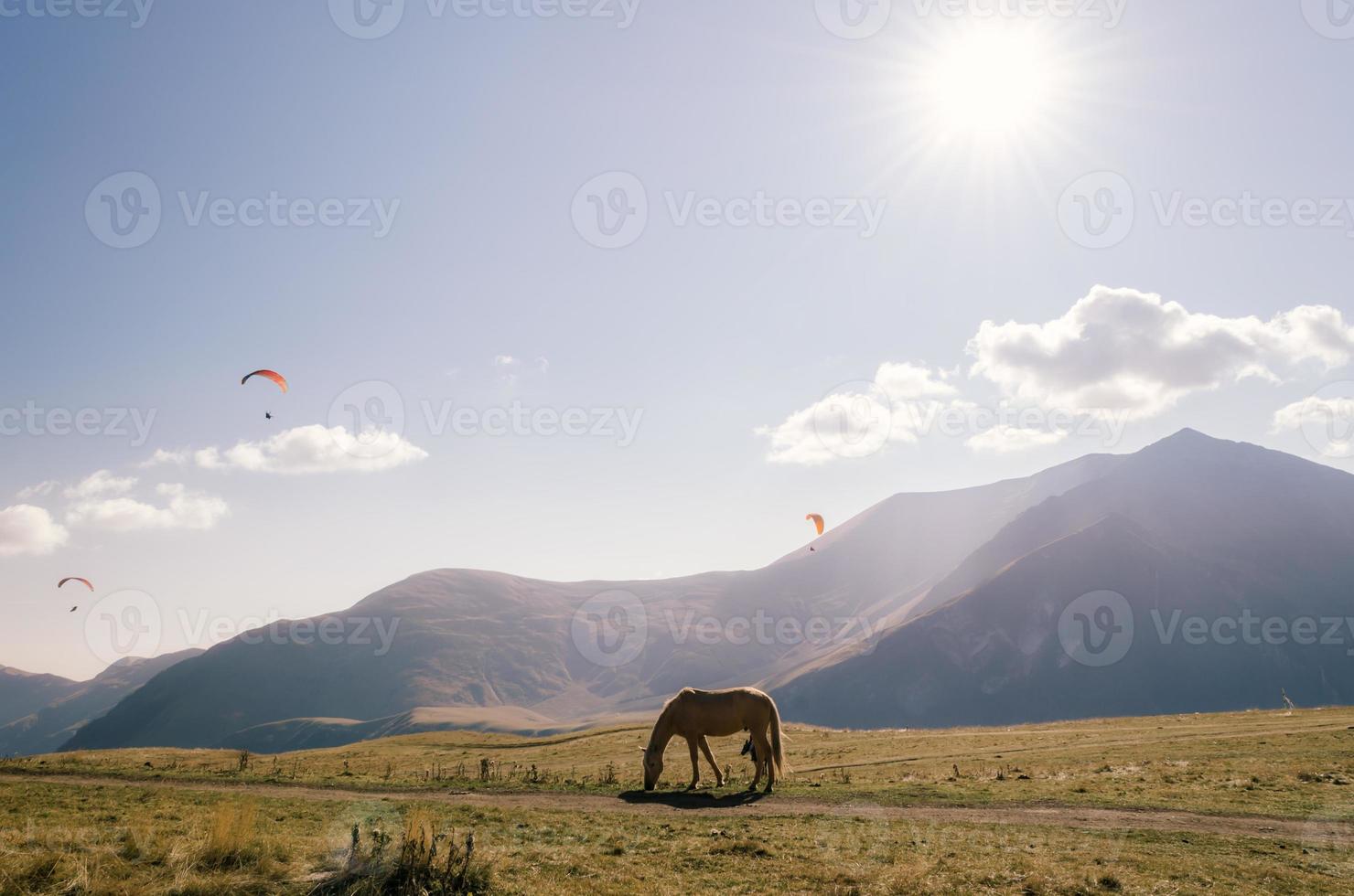 Horse with skydivers and mountains in the background photo