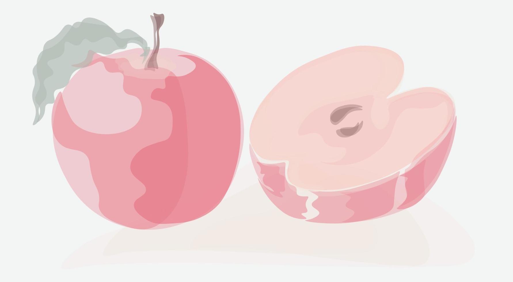 Ilustración de manzanas rojas, aislado en un fondo blanco. estilo acuarela. vector