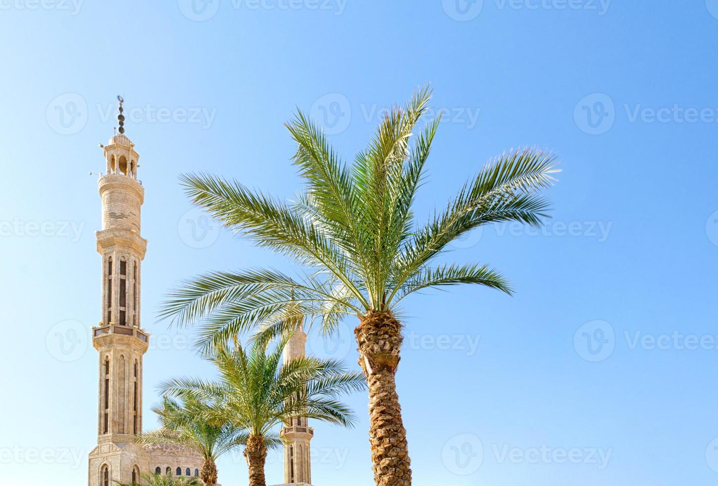 Mosque and green palm trees photo