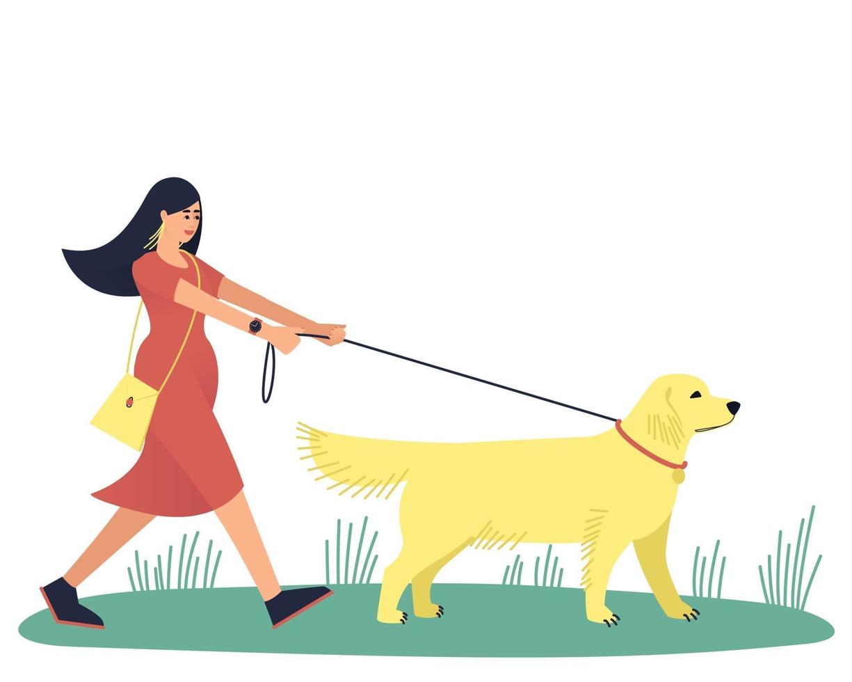 una mujer camina con su amado perro, el labrador retriever vector