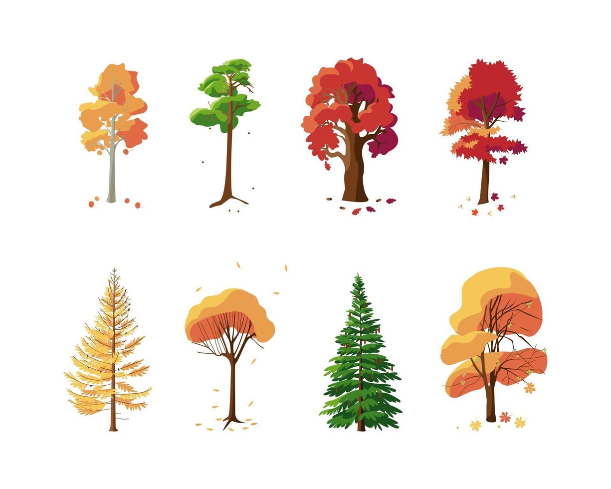 Colorful collection of autumn trees on white background vector