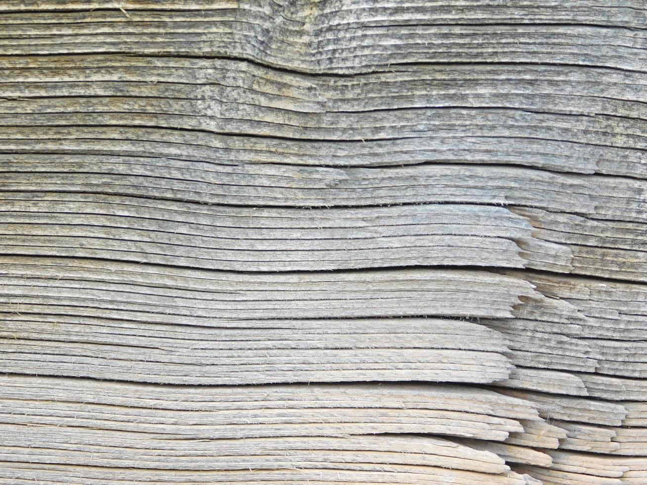 Close-up of wood panel for background or texture photo