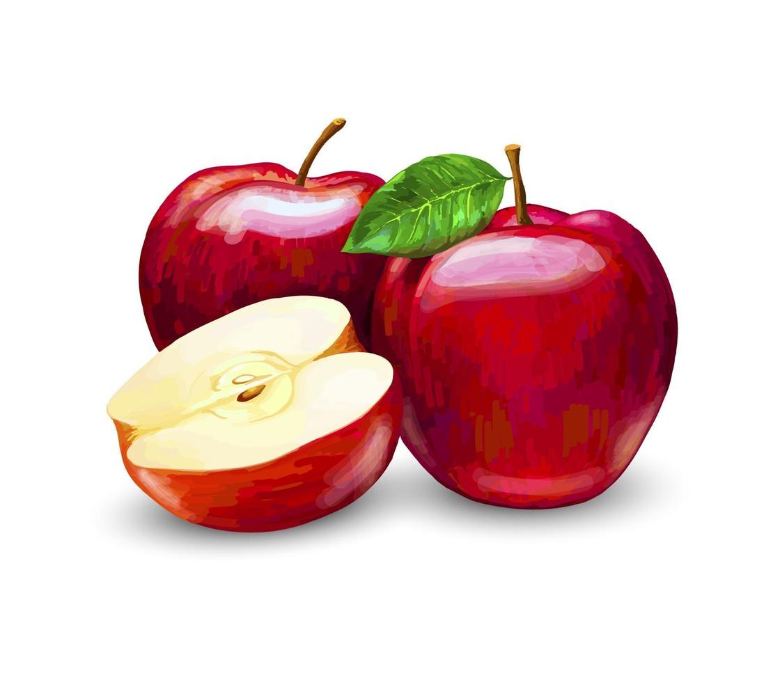 manzanas rojas, enteras y en rodajas. fruta dulce sobre un fondo blanco. vector ilustración realista