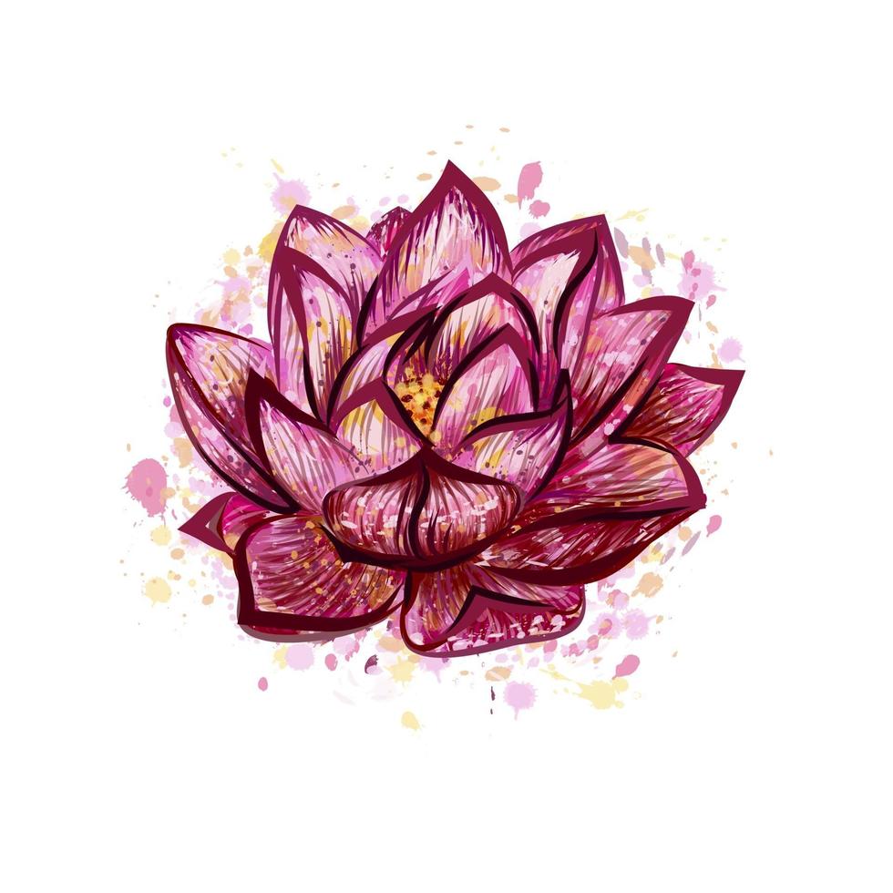 Lotus flower isolated on white, hand drawn sketch. Vector illustration