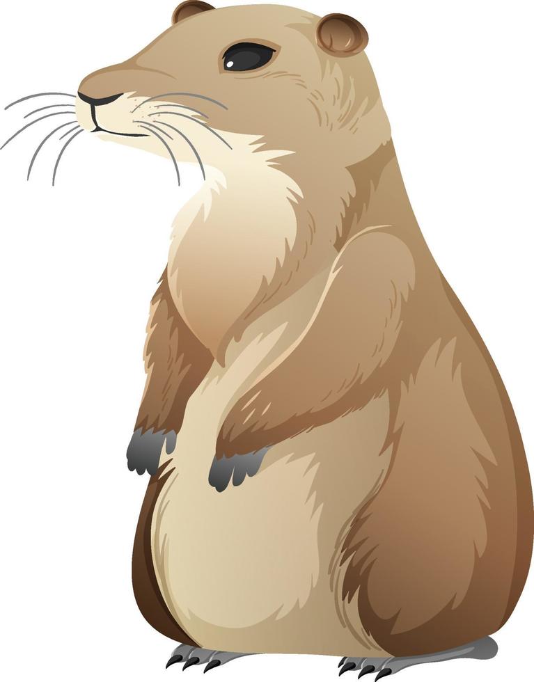 Animal cartoon character of Prairie dog on white background vector