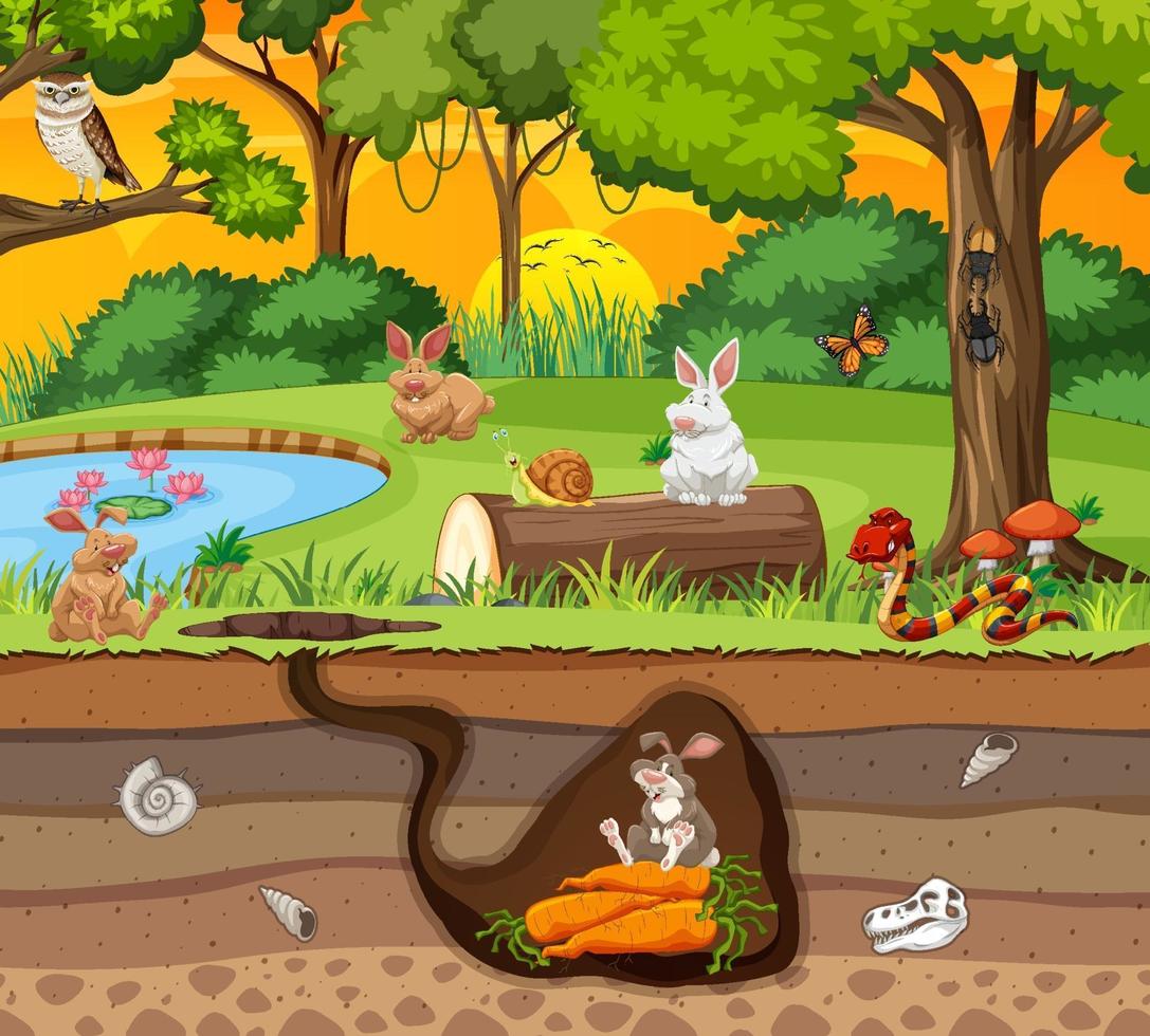 Underground animal burrow with rabbit family vector