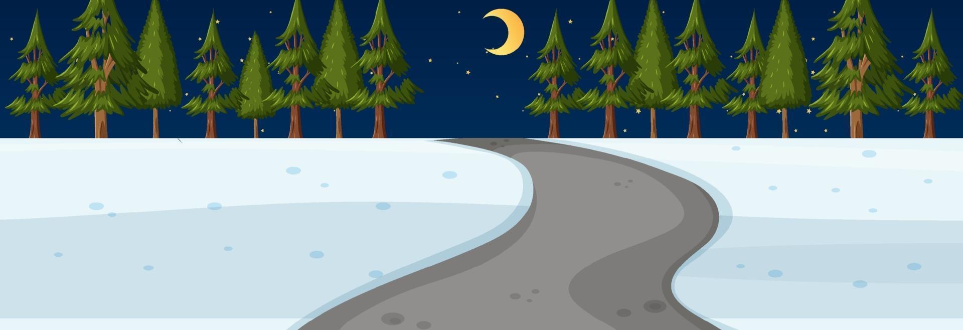 Winter season with road through the park at night time horizontal scene vector