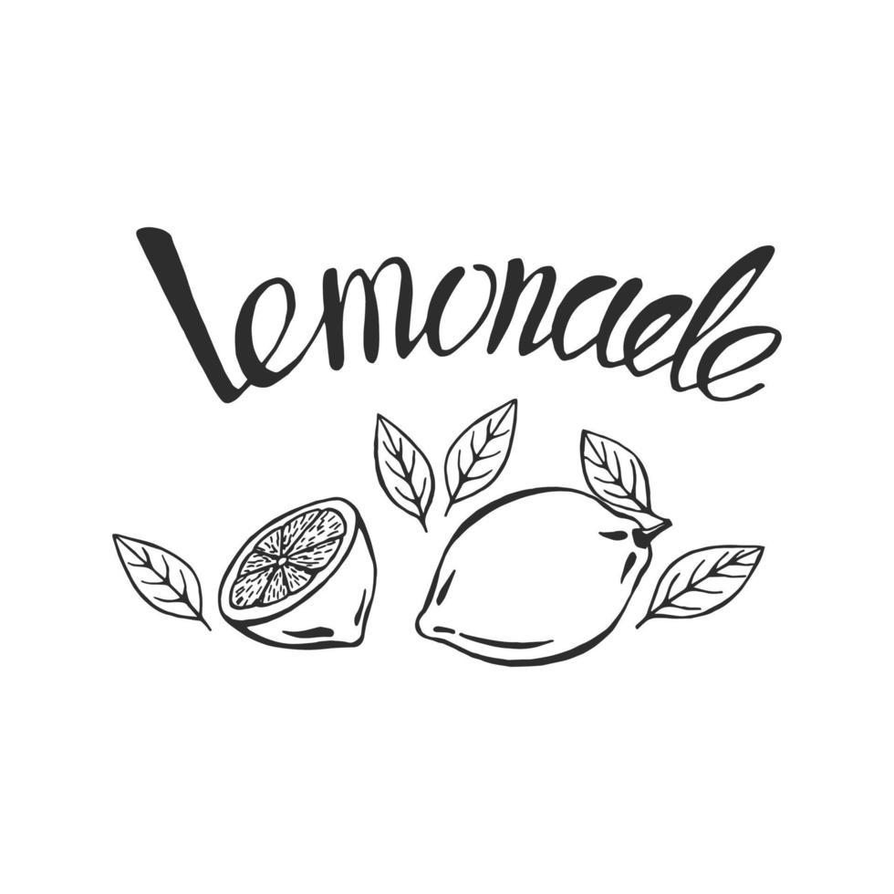 Hand drawn lemon, lemon slice. The inscription on the lemonade, summer  illustration. Vector sketch illustration for print, web, mobile, infographics on white background.