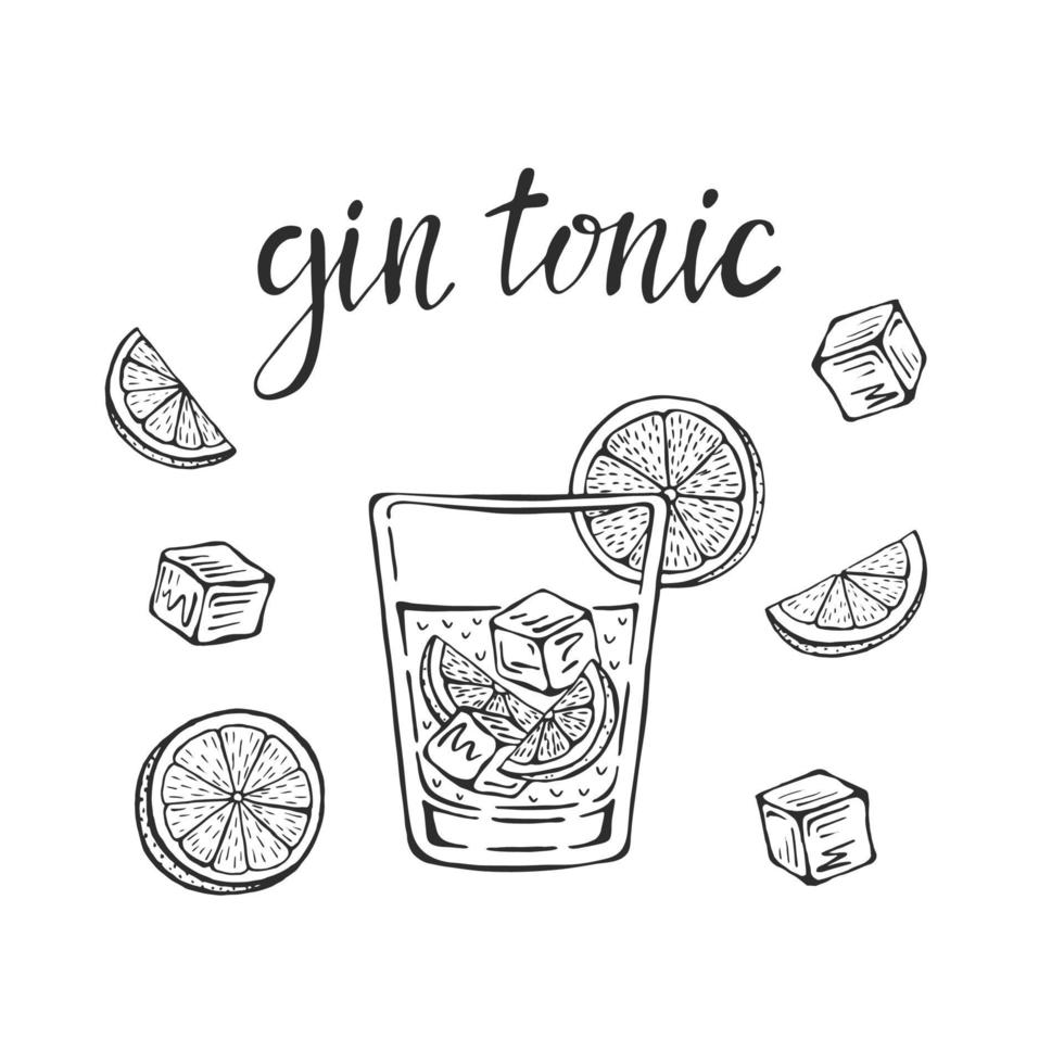 gin tonic cóctel clásico dibujado a mano ilustración vectorial. vaso con hielo y una rodaja de limón, para tarjetas de cóctel. Letras de gin tonic caseras, ilustración vectorial aislada vector