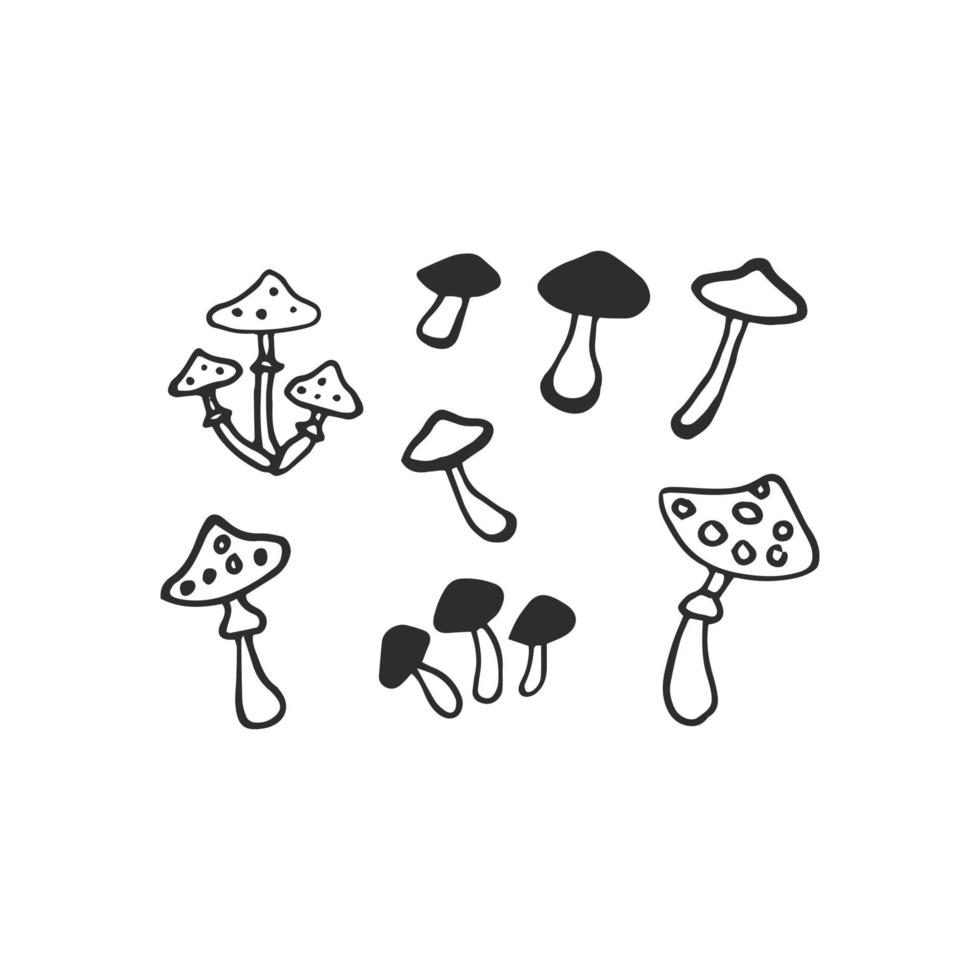 Magic mushrooms Psilocybe cubensis line vector drawing. Monochrome black and white illustration for coloring book.