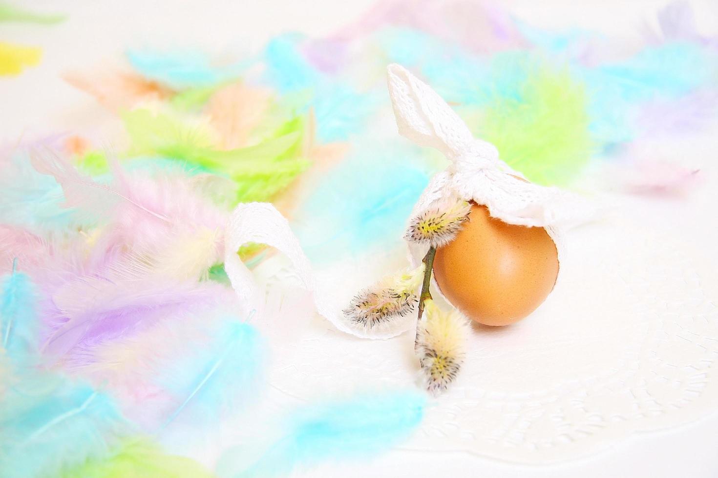 Easter egg and colorful bird feathers on a light background photo