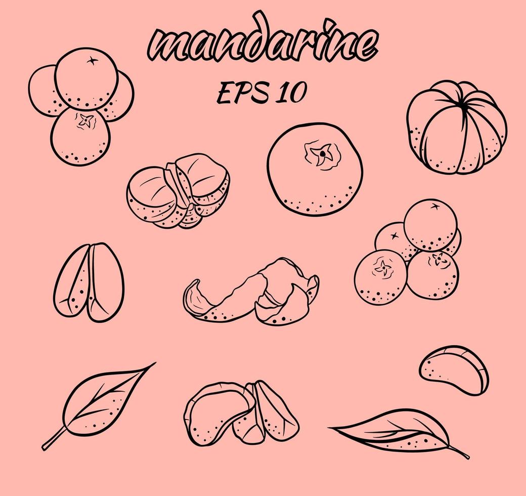 Set of vector illustrations of tangerines.