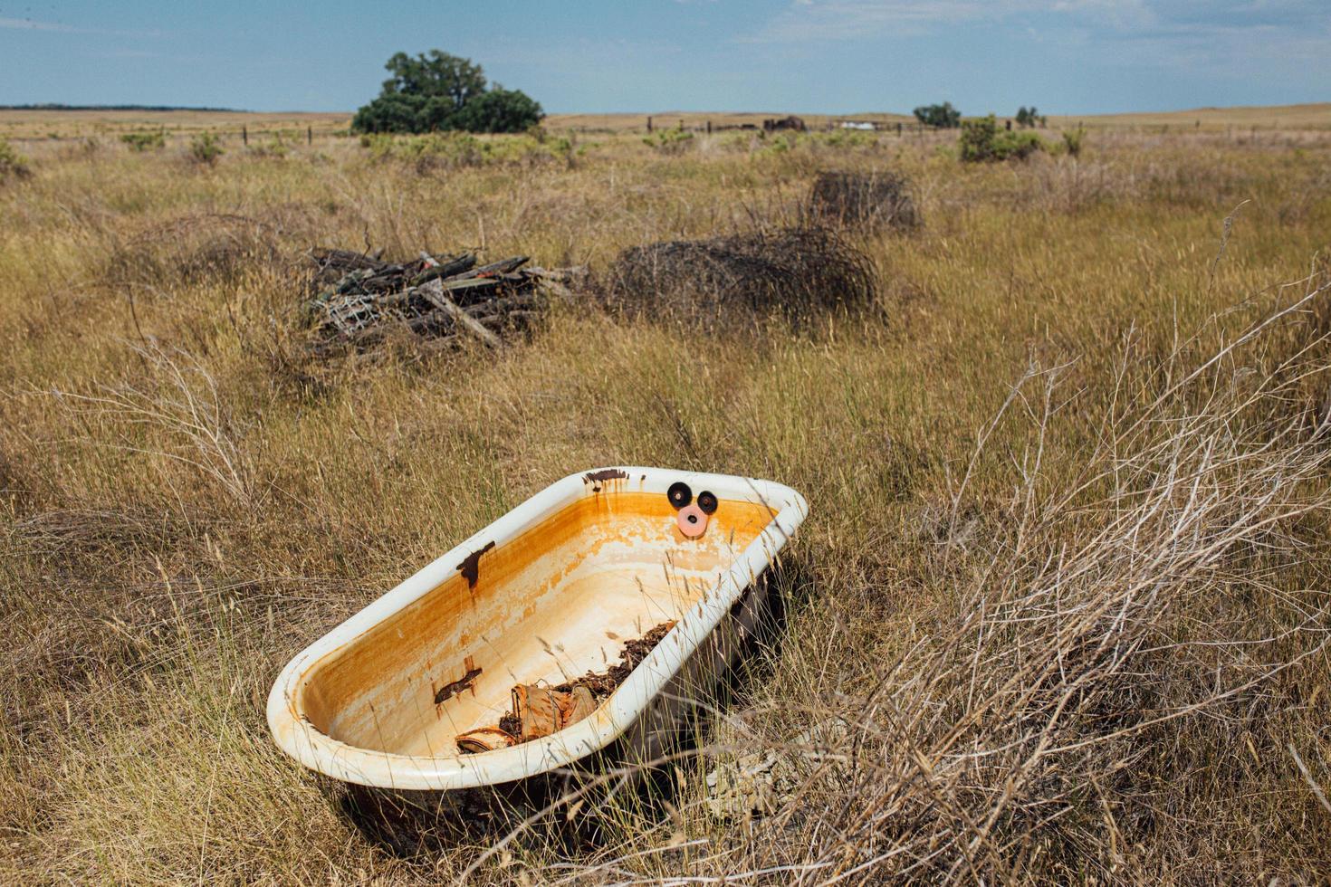 Abandoned bath tub in a field photo