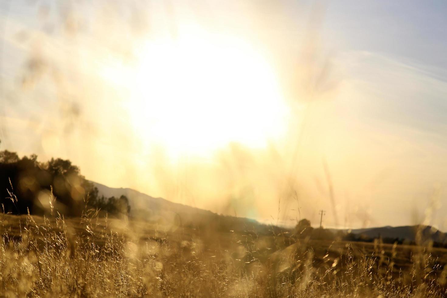 Golden hour in dry Central California photo