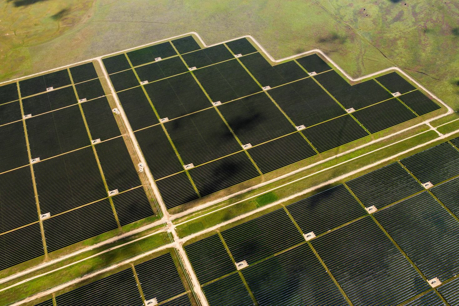 Aerial view of solar panels photo