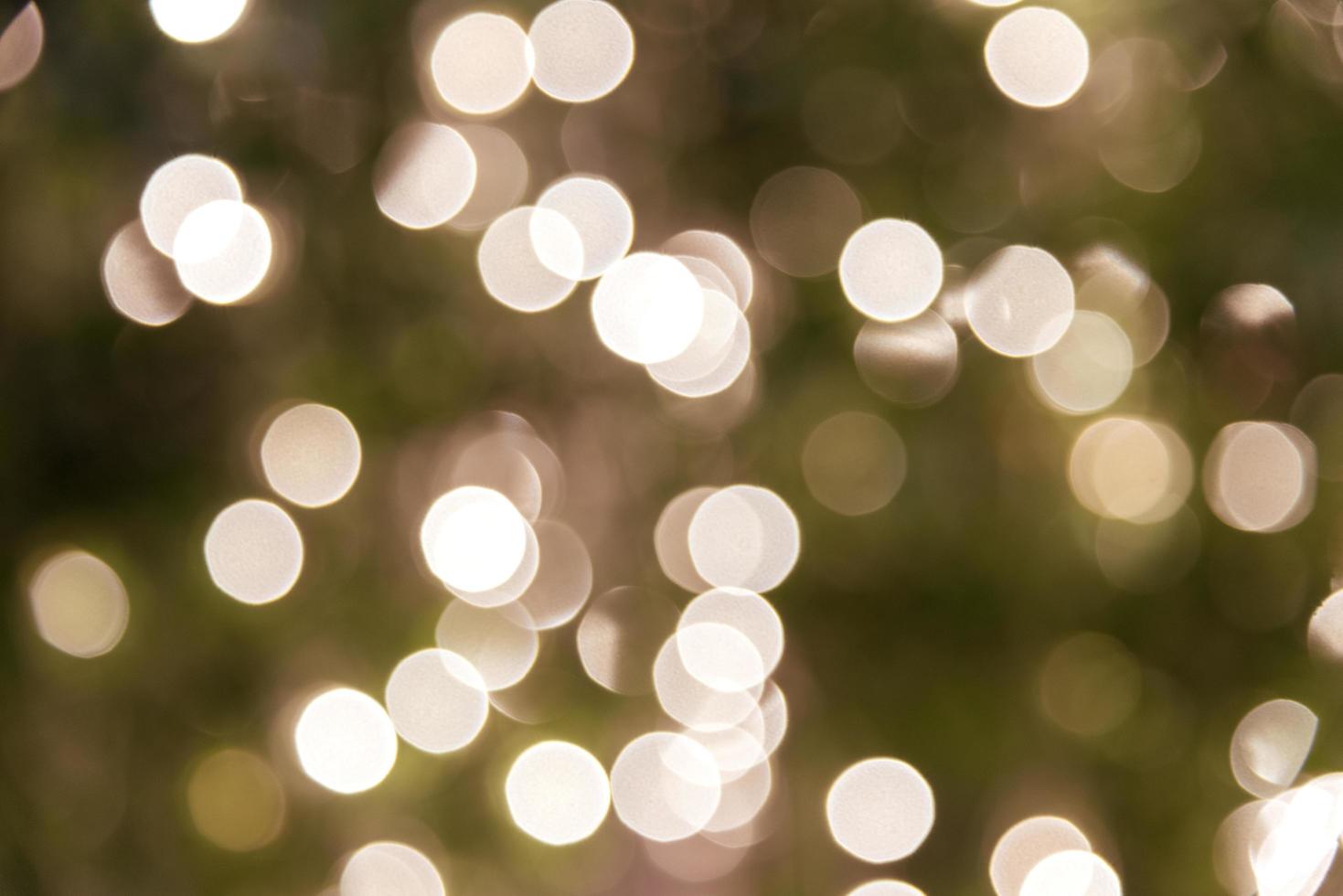 Green and light bokeh photo