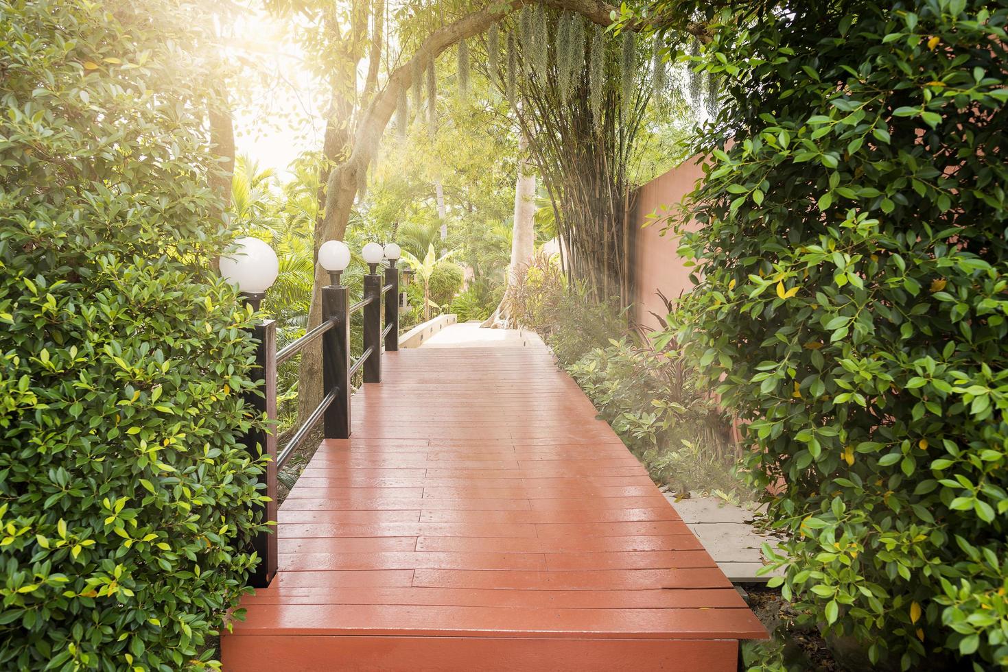 Wooden bridge in a green park with rays of sunlight photo