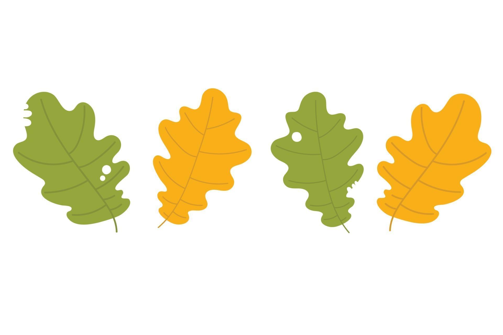 Autumn leaves set, isolated on white background 2221818 Vector Art at