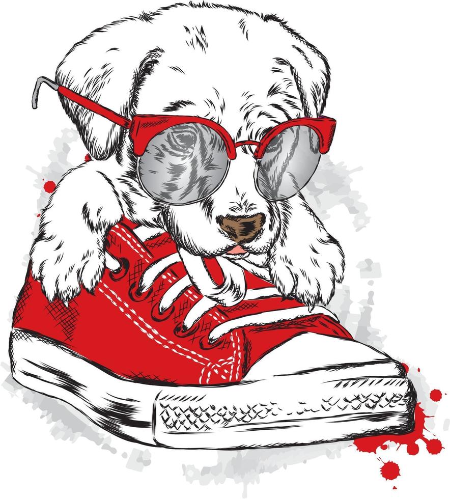 un hermoso perro con un zapato de gimnasia rojo. hipster. vector