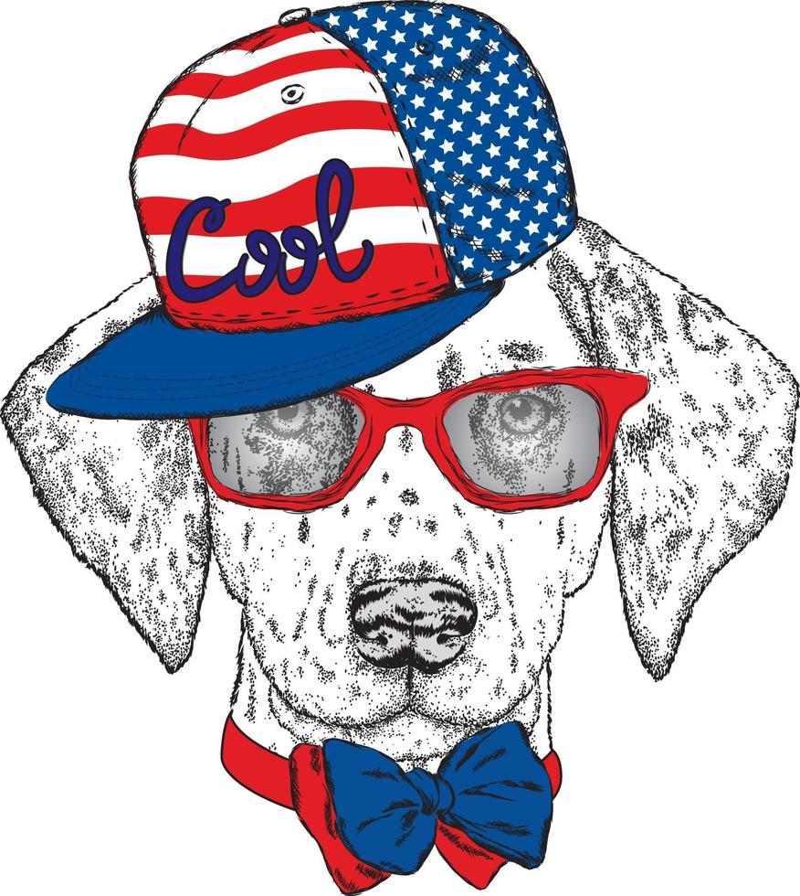 perro hipster con gorra y gafas. vector