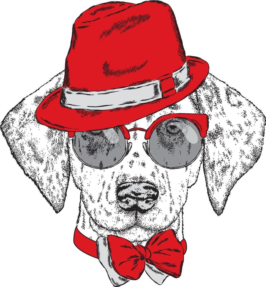 Hipster dog in a hat and glasses. vector