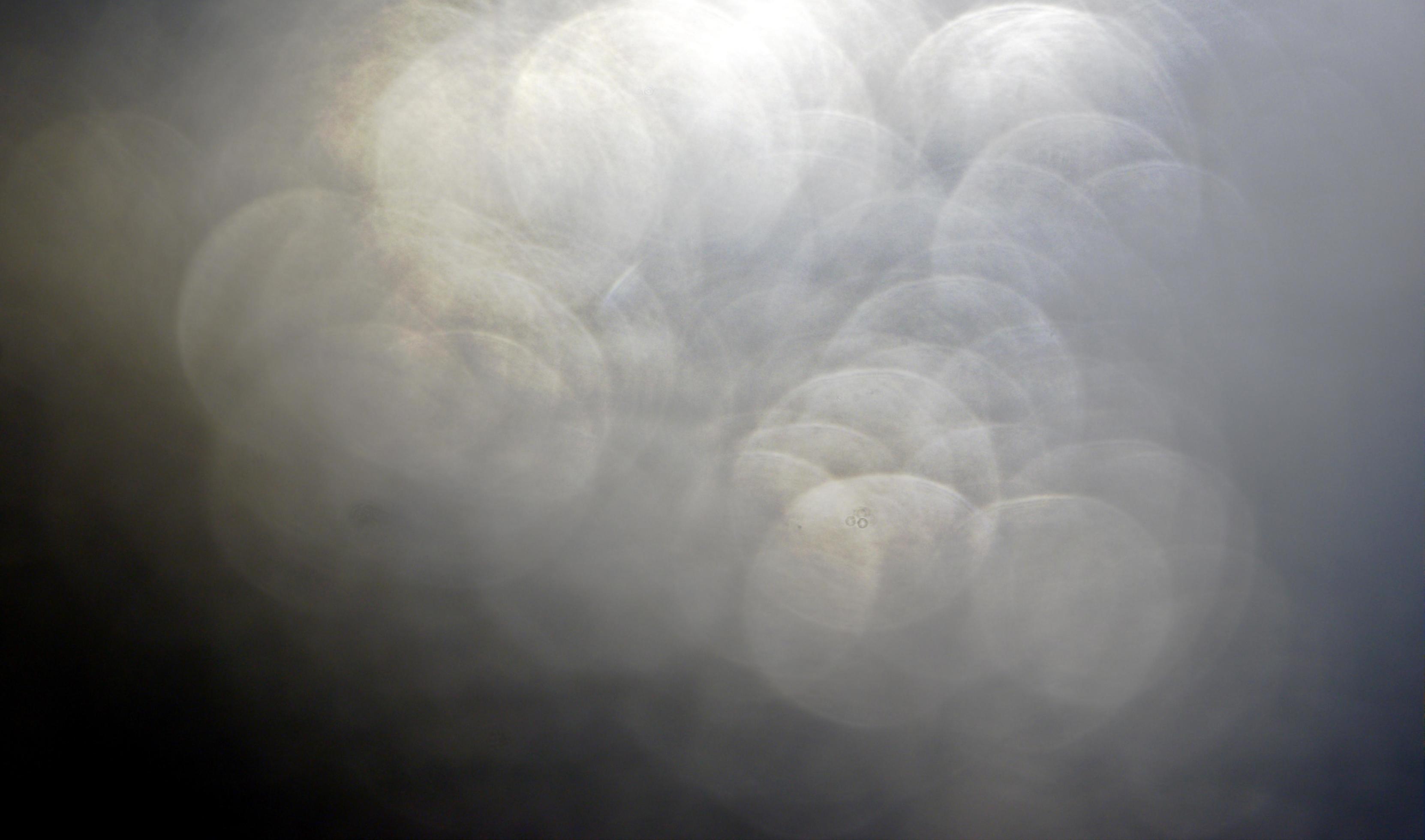 Rusty grunge bokeh texture background 2222372 Stock Photo at Vecteezy