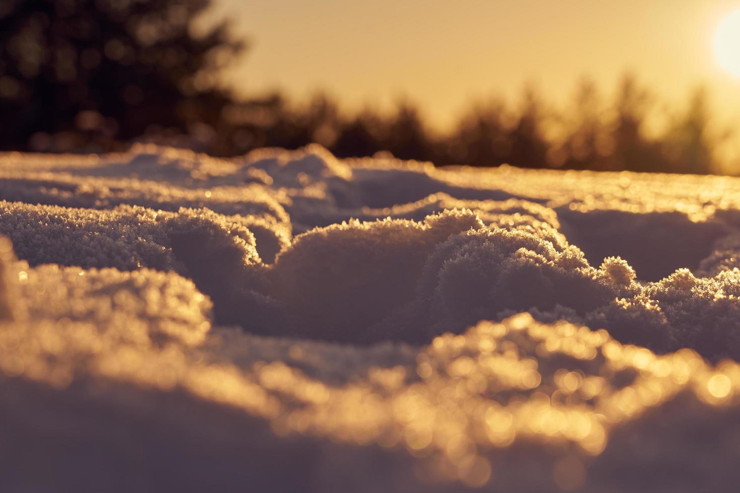 Snow during golden hour photo