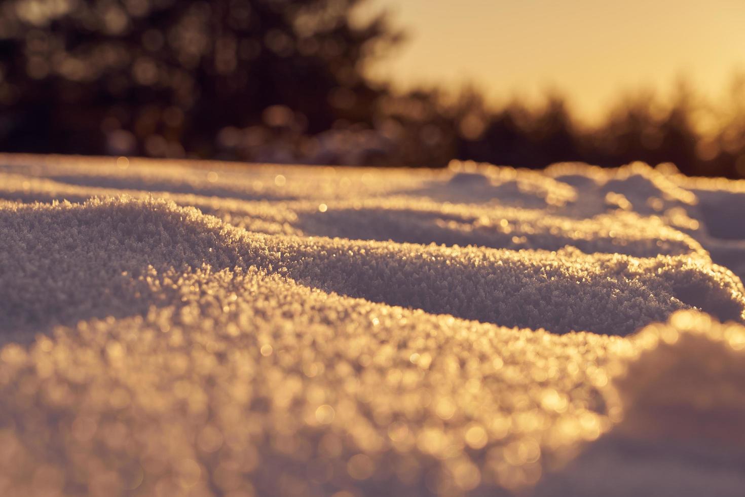 nieve en la luz del sol foto