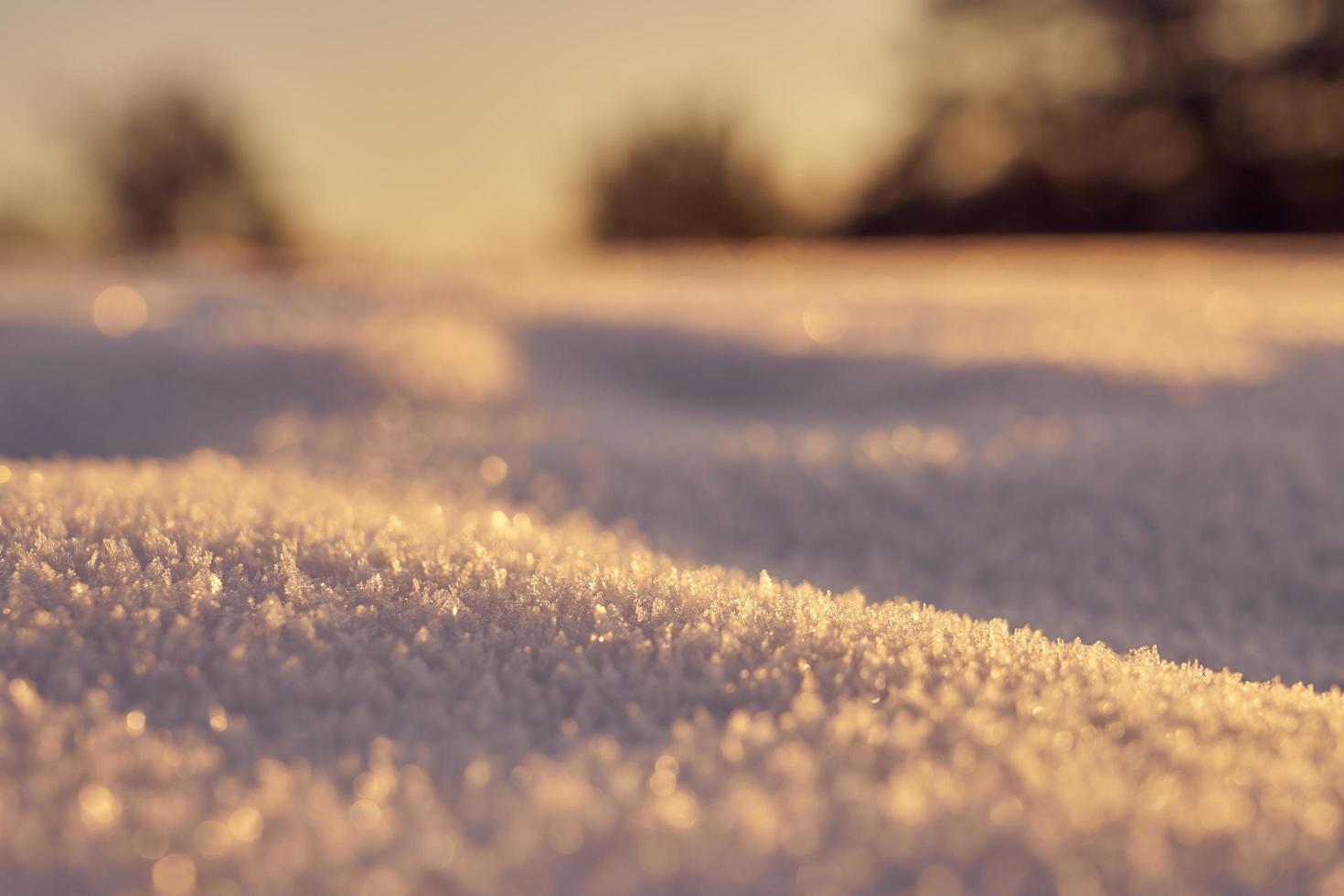 Close-up of snow on the ground photo