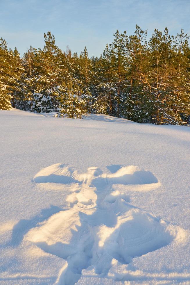 ángel de nieve en la nieve foto